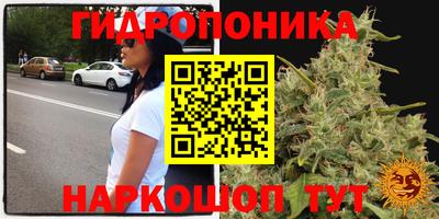 стаф Нягань