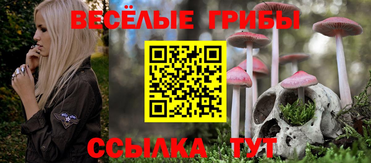 Галлюциногенные грибы ЛСД Усть-Лабинск
