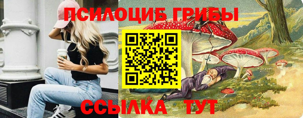 Псилоцибиновые грибы Cubensis  Вход с VPN  Усть-Лабинск 